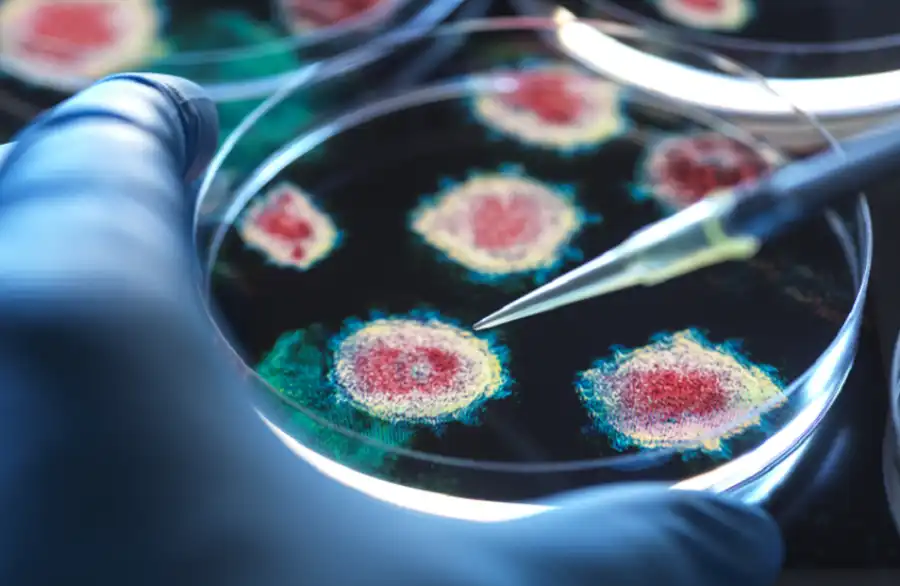 مدار الساعة,أخبار المجتمع الأردني,كورونا