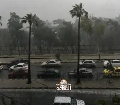 الأمطار تعيد رسم مشهد الخريطة البيئية