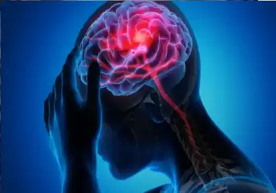 اكتشاف حلقة وصل مذهلة بين الدماغ