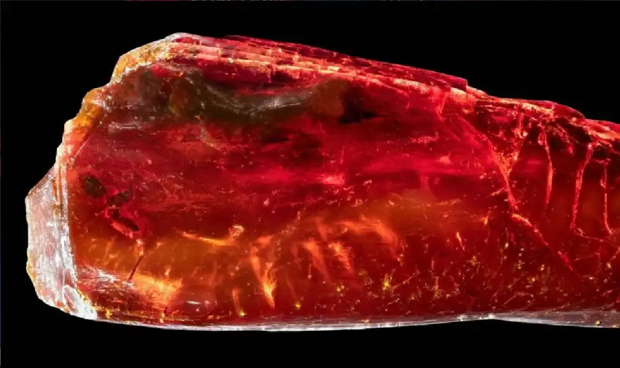 مدار الساعة,أخبار خفيفة ومنوعة