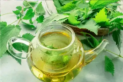 من حماية القلب إلى محاربة اجتياح