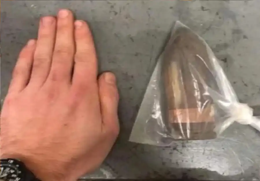 مدار الساعة,أخبار خفيفة ومنوعة