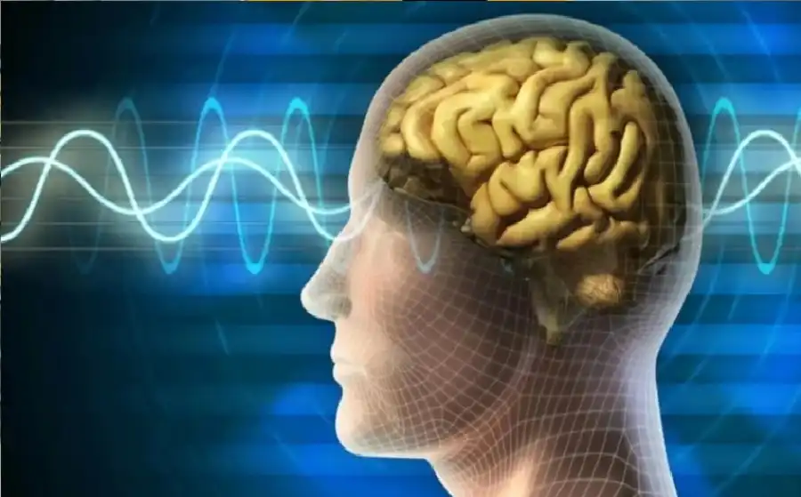 مدار الساعة,أخبار الصحة والأسرة