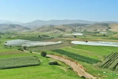 خبراء: إربد تتألق في الربيع بين