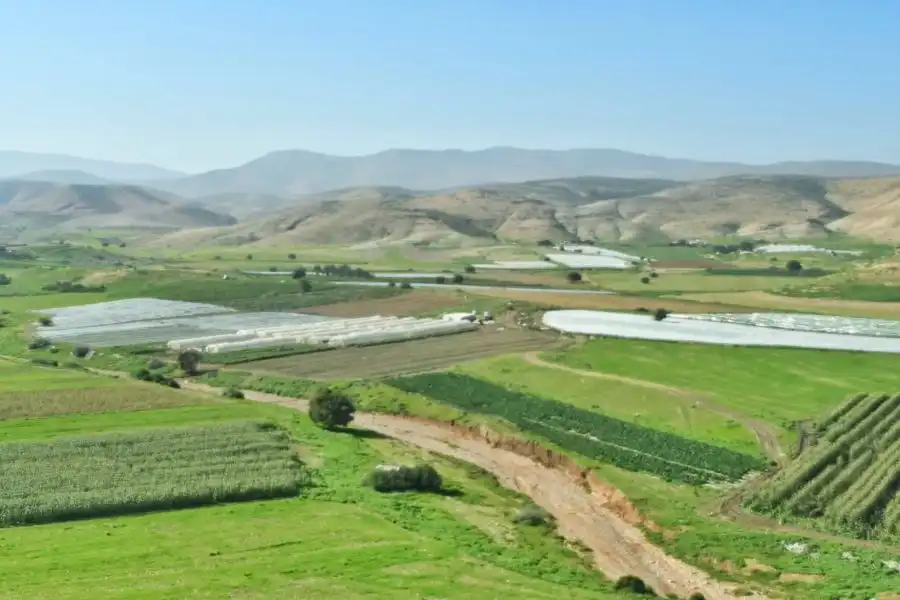 مدار الساعة,أخبار الأردن,اخبار الاردن,وكالة الأنباء الأردنية,جامعة اليرموك,الجامعة الأردنية,درجات الحرارة