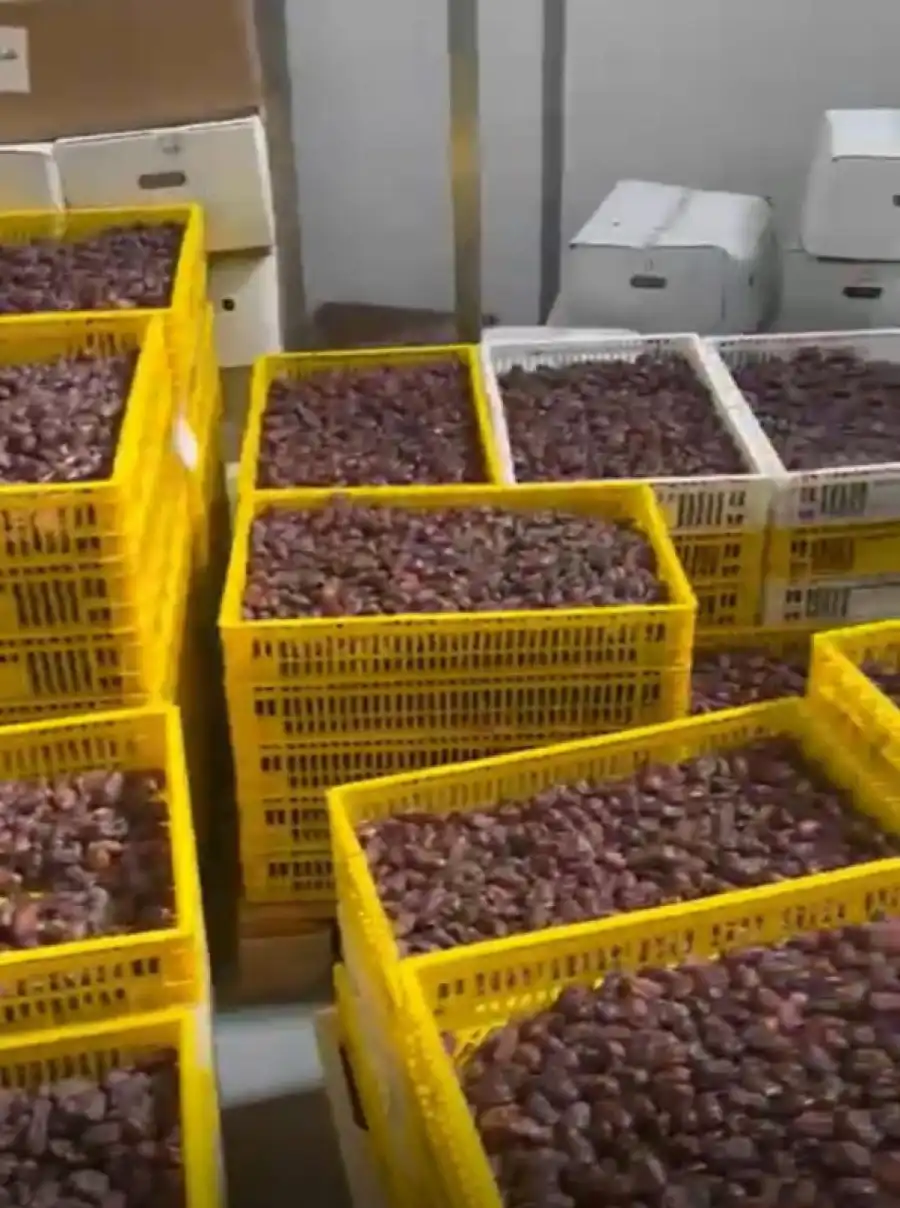 مدار الساعة,أخبار الأردن,اخبار الاردن,المؤسسة العامة للغذاء والدواء