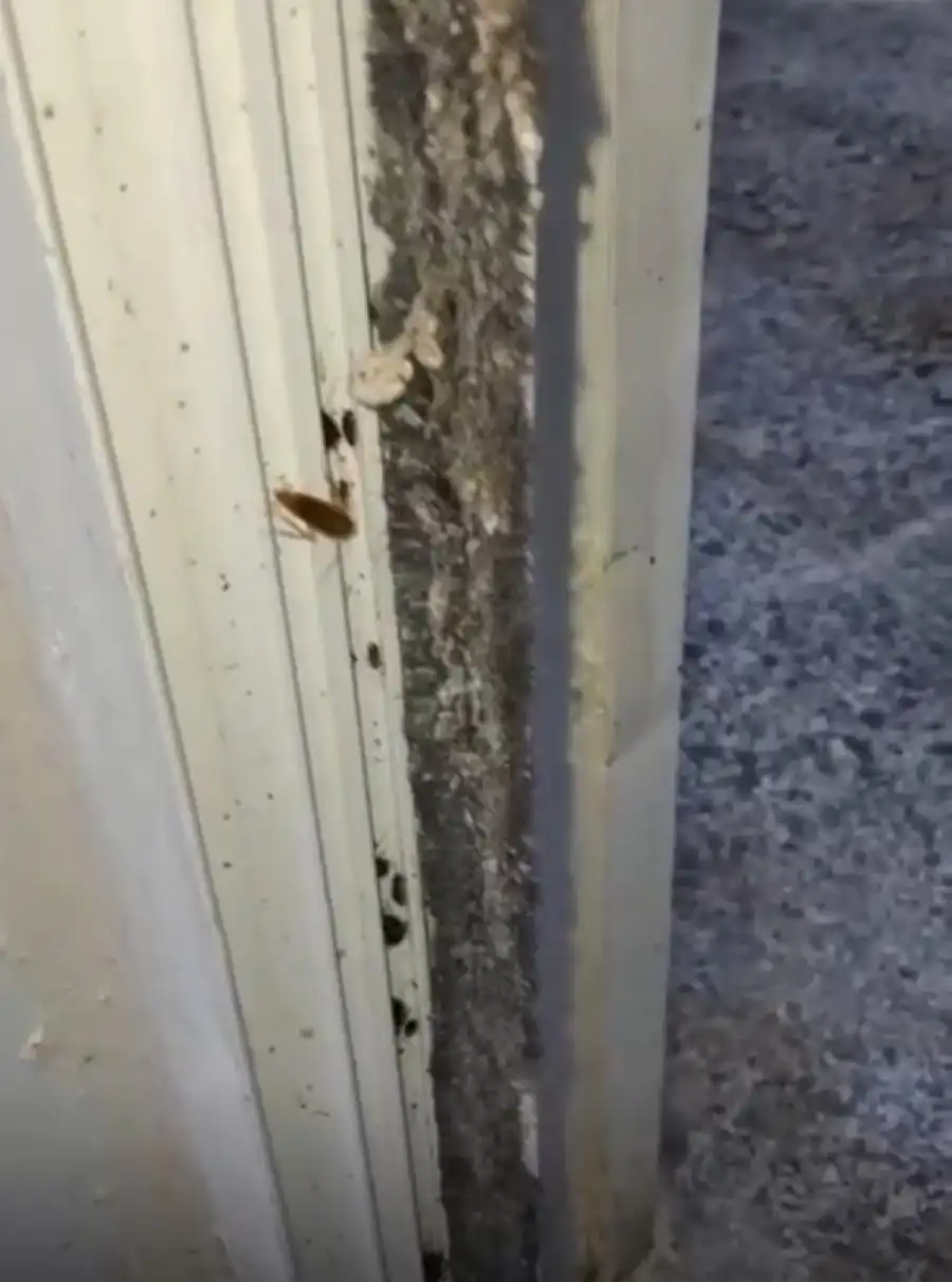 مدار الساعة,أخبار الأردن,اخبار الاردن,المؤسسة العامة للغذاء والدواء