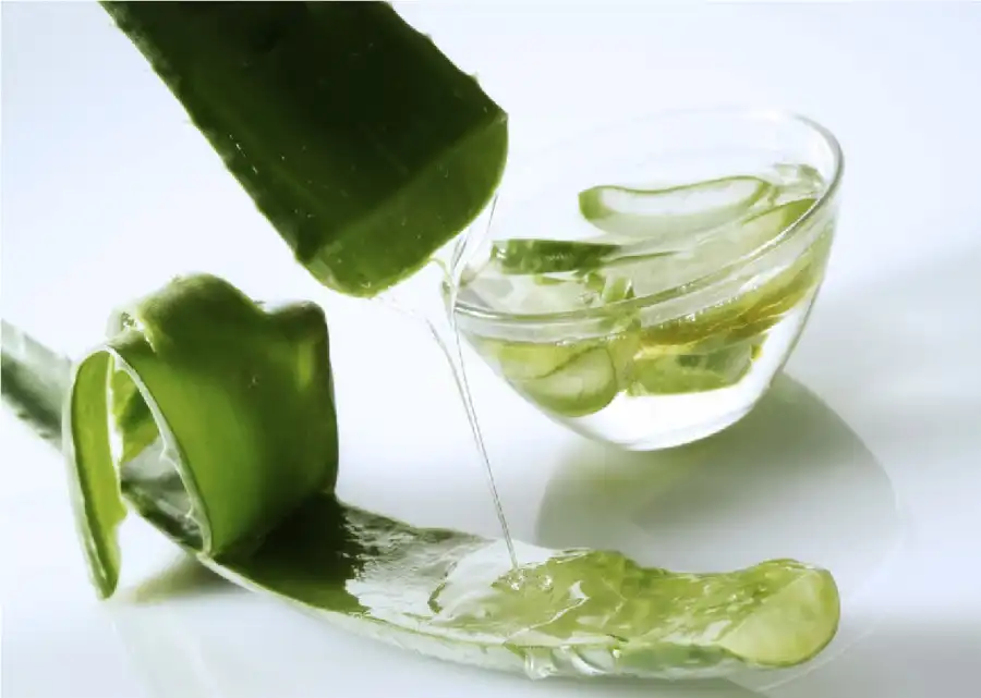 مدار الساعة,أخبار الصحة والأسرة