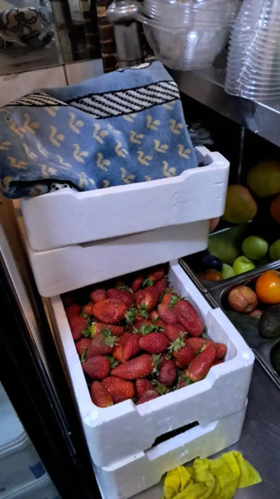 مدار الساعة,أخبار الأردن,اخبار الاردن,المؤسسة العامة للغذاء والدواء