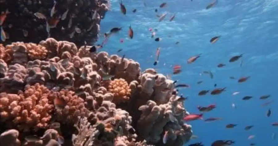 مدار الساعة,أخبار السياحة في الأردن