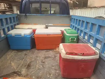 إتلاف 240 كغم من الدجاج المجمد