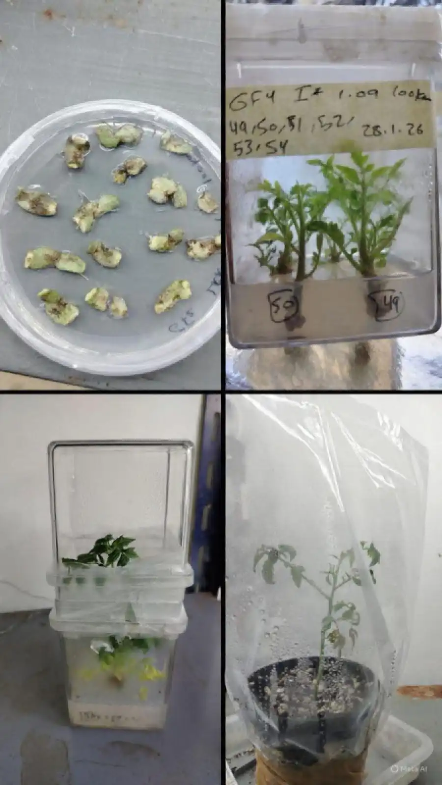 مدار الساعة,أخبار التكنولوجيا، التقنيات,الجامعة الأردنية,جامعة البلقاء التطبيقية