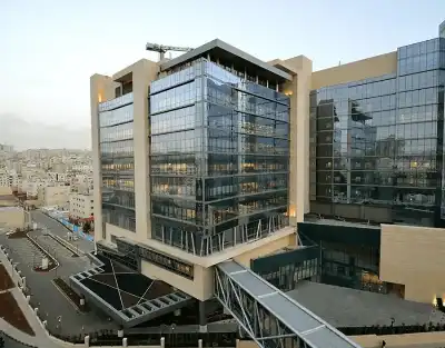 النائب كريشان يكتب: برنامج رعاية لعلاج