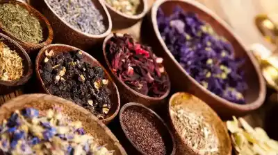 القواعد الحاكمة لدلالات النصوص النبوية في