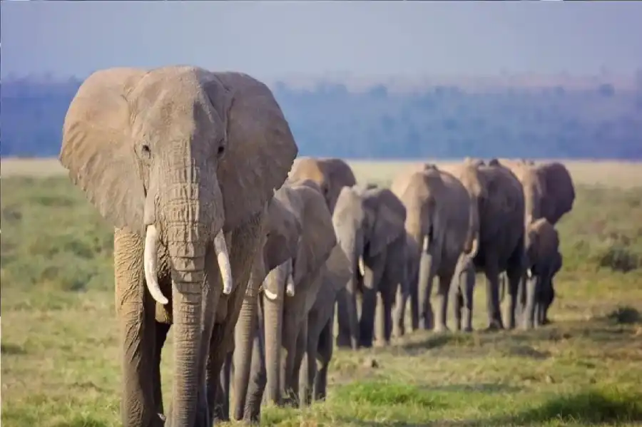 مدار الساعة,أخبار الصحة والأسرة