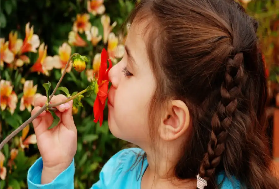 مدار الساعة,أخبار الصحة والأسرة