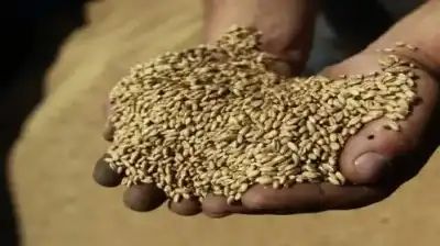 الأردن: مجلس الإفتاء يحدد قيمة زكاة