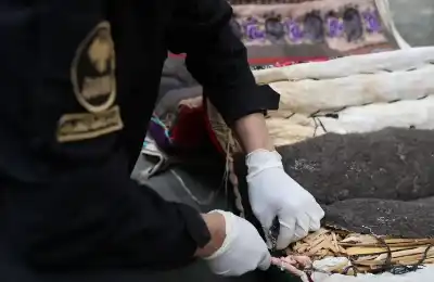 قبل تصديرها إلى السعودية.. سوريا تضبط