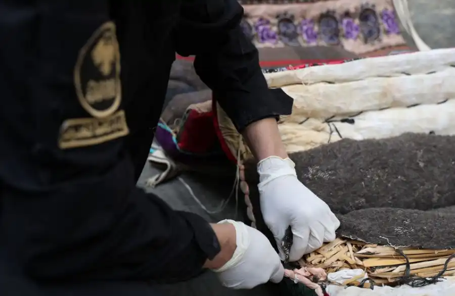 مدار الساعة,أخبار عربية ودولية,إدارة مكافحة المخدرات