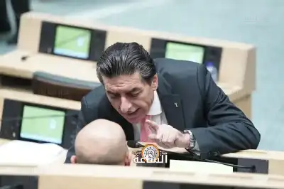 النائب الخلايلة: افتحوا المجال الجوي لضرب