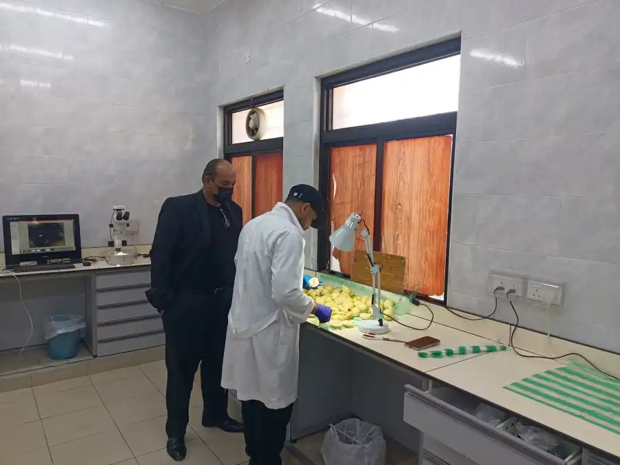 مدار الساعة,أخبار الأردن,اخبار الاردن