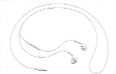 ثقافة القطيع.. كيف أعاد المشاهير الأسلاك