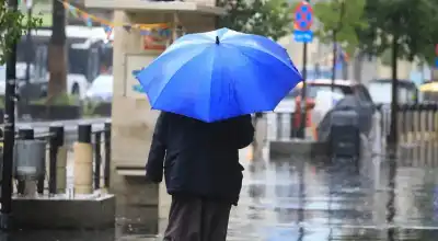 أمطار آذار تعزز الموسم المطري وترفع