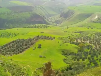 فلكيا.. الأردن يستقبل فصل الربيع