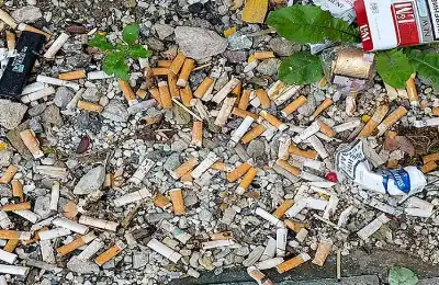 هل تبقى أعقاب السجائر سامة حتى