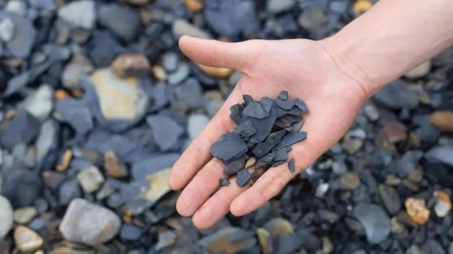 مدار الساعة,أخبار اقتصادية,صالح الخرابشة,وزارة الطاقة,شركة الكهرباء الوطنية