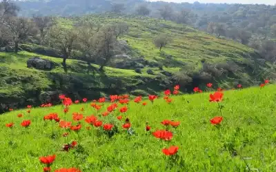 وادي النوم في أوصرة.. جوهرة عجلون
