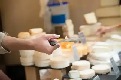 مصر.. تذوق الجبن واحصل على 45