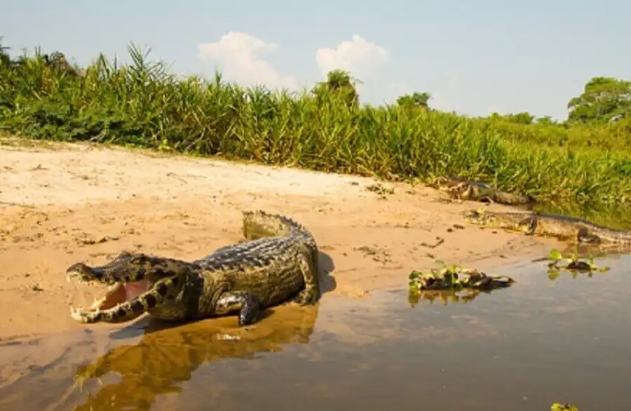 مدار الساعة,أخبار عربية ودولية