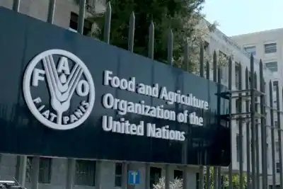 الفاو: الأسواق الغذائية العالمية تشهد ارتفاعا