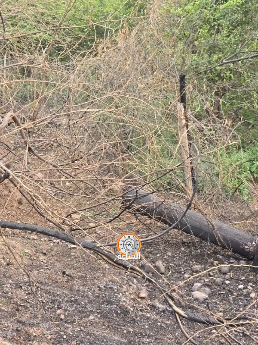 مدار الساعة,أخبار الأردن,اخبار الاردن,مستشفى معاذ بن جبل