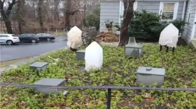 باع مسروقاته للشرطة.. سقوط سارق بلورات