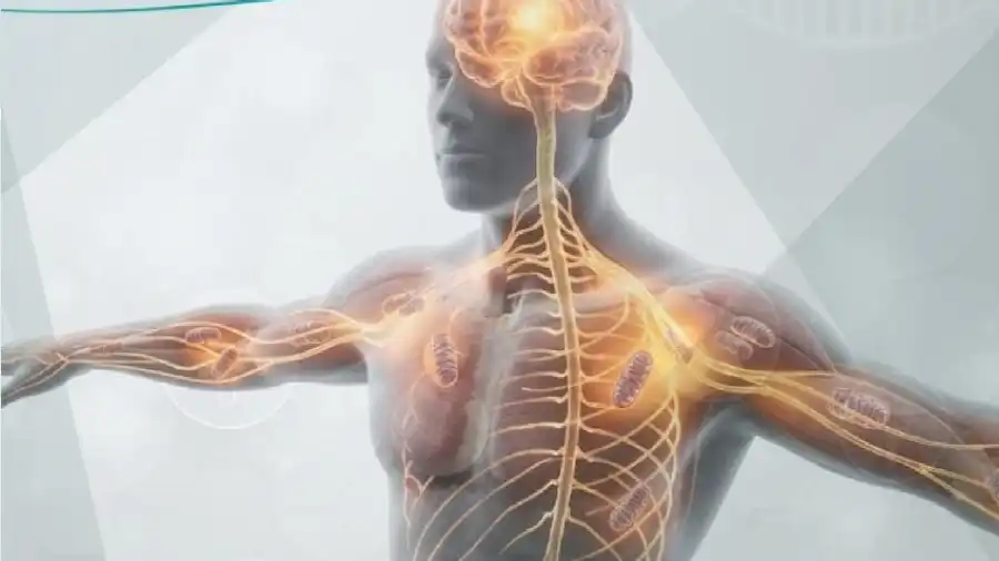 مدار الساعة,أخبار الصحة والأسرة,اضطرابات النوم