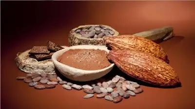 الكاكاو وصحة العيون.. دراسة تكشف دور