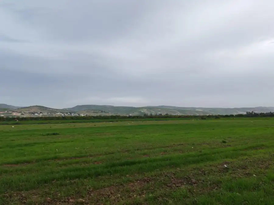 مدار الساعة,أخبار الأردن,اخبار الاردن,وزارة الزراعة,وكالة الأنباء الأردنية