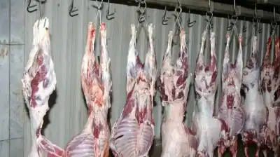 بورصة اللحوم في الأردن تشتعل: غلاء