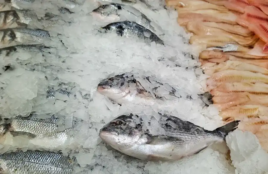 مدار الساعة,أخبار عربية ودولية