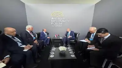 الصفدي يعقد سلسلة لقاءات دبلوماسية على