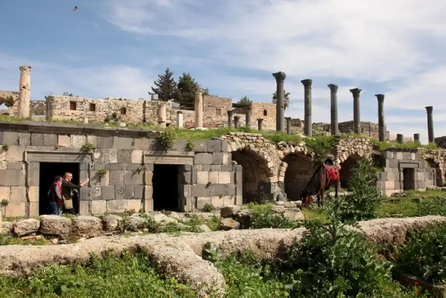 مدار الساعة,أخبار الأردن,اخبار الاردن,الحسين بن طلال,وسائل التواصل الاجتماعي,البحر الميت