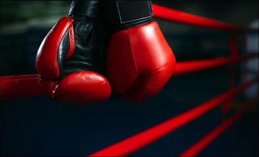 مدار الساعة,أخبار الأردن,اخبار الاردن,محكمة التمييز