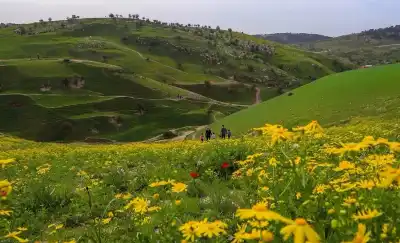 الأردن: سياحة الربيع.. فرصة لجذب الزوار