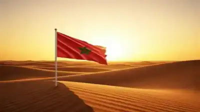 ألمانيا تجدد التأكيد على مركزية الحكم