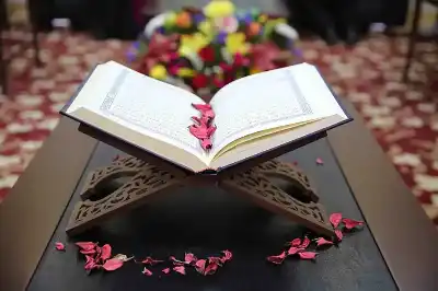 القرآن.. حين يربي قلوبنا وعقولنا