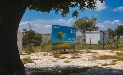 300 Plants Cultivated with a 100%