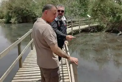 مازن الفراية من مركز حدود العمري