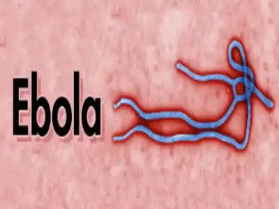 فتاكة ولا علاج لها.. سلالة نادرة